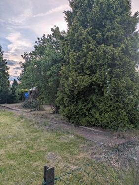 Foto - Grundstück zur Miete in Wettin-Löbejün