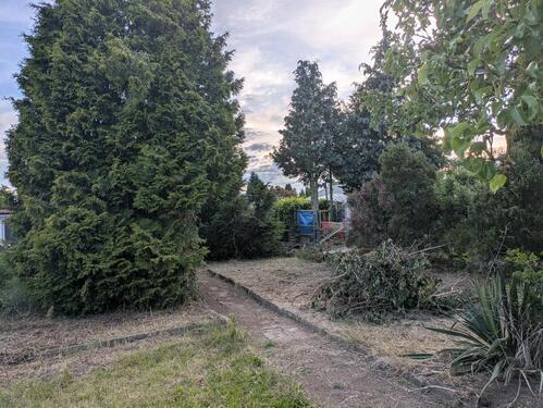 Foto - Grundstück in Wettin-Löbejün