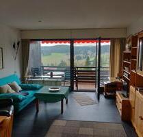 Schönes Appartment mit Ausblick - Schonach Im Schwarzwald