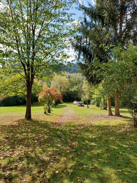 Foto - Vermietetes Hotelapartment mit Gartenzugang in Viechtach