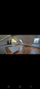 Foto - 5 Zimmer Bauernhaus, Landhaus in Bollendorf