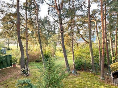 Foto - Einfamilienhaus in Harpstedt zum Kaufen