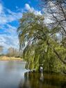 Foto - Ferienwohnung „ Unter den Linden „Ostfriesland
