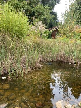 Foto - Grundst&uuml;ck zur Miete in Ranstadt