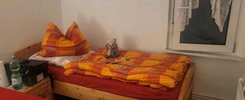 Foto - andere in Ketzin