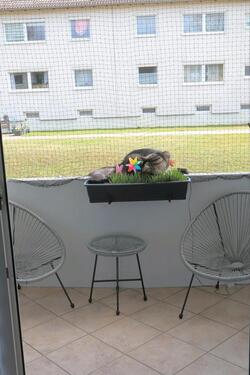 Foto - 