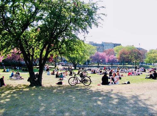 Foto - 2 Zimmer Hochparterre zur Miete in Berlin