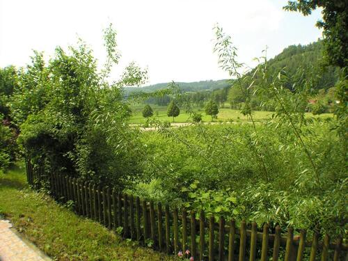 Foto - 1.5 Zimmer Etagenwohnung zur Miete in Uhldingen-Mühlhofen