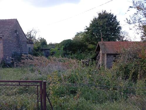 Foto - Einfamilienhaus in Dischingen zum Kaufen