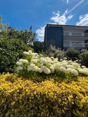 Foto - Großzügige Wohnung über 2 Etagen mit Blick über Arnsberg