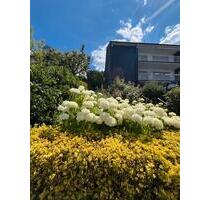 Großzügige Wohnung über 2 Etagen mit Blick über Arnsberg