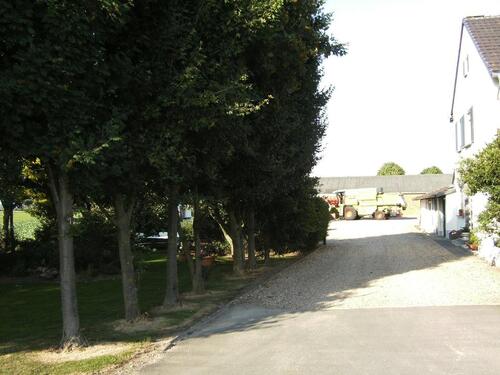 Foto - andere zur Miete in Kerpen