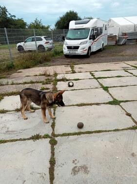 Foto - Stand Plätze für Wohnmobil, Wohnwagen in einer Halle oder Außen