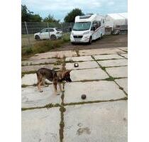 Stand Plätze für Wohnmobil, Wohnwagen in einer Halle oder Außen - Erfurt Gispersleben