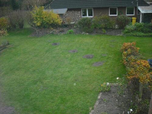 Foto - Doppelhaushälfte in Husum zur Miete