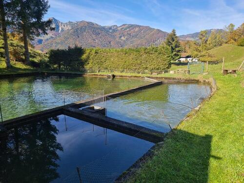 Foto - Einfamilienhaus in Schleching