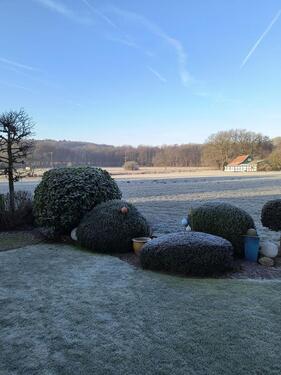Foto - Großzügige, renovierte 4-Zimmer-Einliegerwhg. mit tollem Ausblick