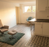 Helles 1-Zimmer Apartment in ruhiger Lage - ideal für Pendler - Aalen Ebnat