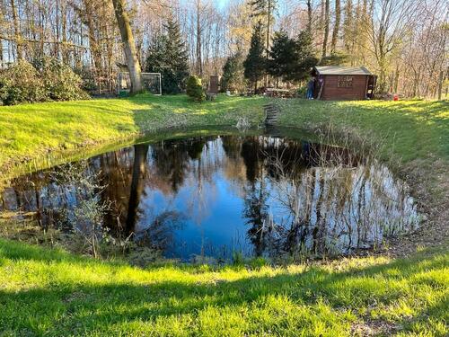 Foto - Freizeitgrundstück mit Angelteich und Hütte in Naturlandschaft