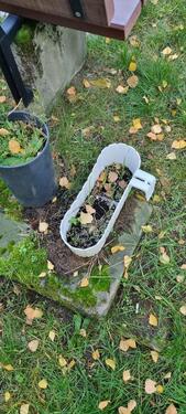 Foto - Etagenwohnung zur Miete in Darmstadt