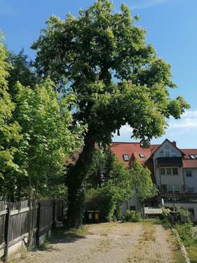 Foto - Gemütliche 2 Raumwohnung im Dachgeschoss