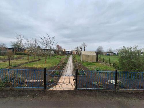 Foto - Grosser Garten -Heerener Strasse +500 qm +Sofort Beziebar