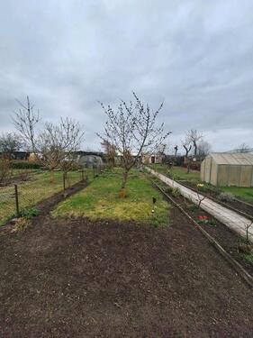 Foto - Grundst&uuml;ck zur Miete in Stendal