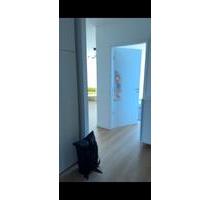 Luxuriöse 3-Zimmer-Neubauwohnung, in 12249 Berlin