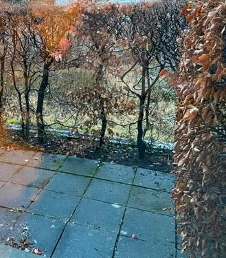 Foto - Wohnung Remagen, 4Zi, vermietet