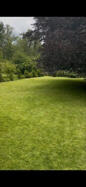 Foto - Einfamilienhaus in Lampertheim zum Kaufen