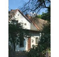 großzügiges Wohnhaus am Stadtrand der Kurstadt Bad Liebenwerda - Lauchhammer