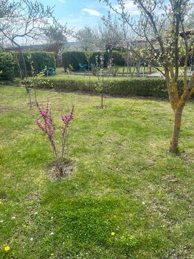 Foto - Grundst&uuml;ck zur Miete in Magdeburg