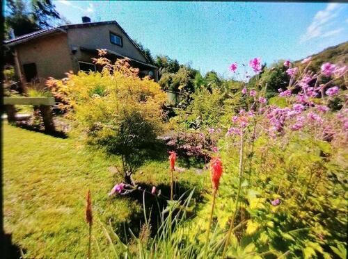 Foto - Garten, Laube, Kleingarten - 750,00 EUR Kaltmiete, ca.  0,00 m²