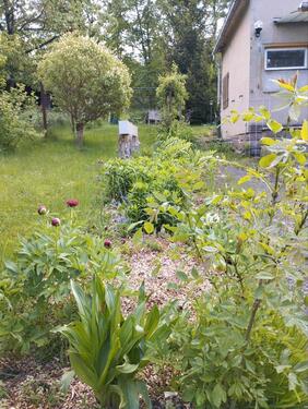 Foto - Grundstück in Klipphausen