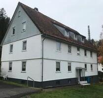 Sehr schöne, ruhige im Grünen gelegene 3 ZimmerKücheBad - Bad Grund (Harz)