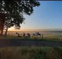 3,5 Zimmer-Wohnung für Pferdehalter, Wohnen mit Pferden - Timmaspe