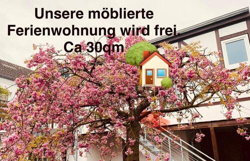 Foto - Möblierte Ferienwohnung - 700,00&nbsp;EUR Kaltmiete,