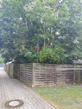 Foto - Etagenwohnung in Wegberg zur Miete