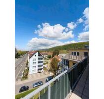 Frisch renovierte Terrassenwohnung in Heidelberg provisionsfrei