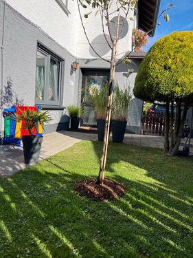 Foto - Top Ferienwohnung, Riekes, Sauerland, Osterferien, Kurztripp