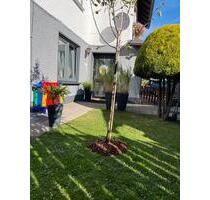 Top Ferienwohnung, Riekes, Sauerland, Osterferien, Kurztripp - Schmallenberg