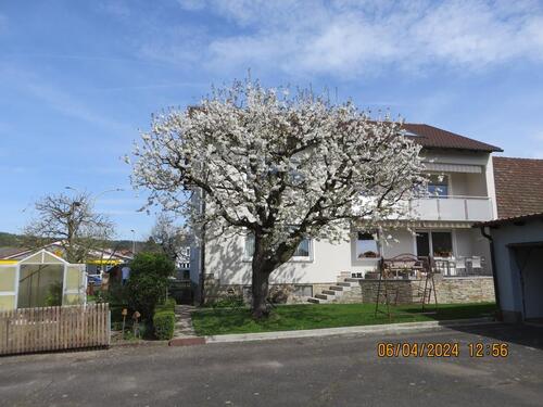 Foto - Schöne helle Wohnung, 100 m², in Pfreimd, nahe zur Stadtmitte