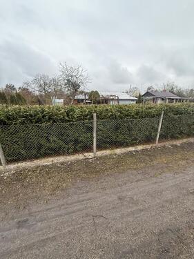 Foto - Grundst&uuml;ck in Wolfsburg