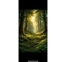 Waldgrundstück im Odenwald - 3.000,00&nbsp;EUR Kaltmiete, ca.&nbsp; 0,00&nbsp;m&sup2; in Lautertal (Odenwald) (PLZ: 64686)