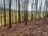 Foto - Grundst&uuml;ck in Lautertal (Odenwald) zur Miete