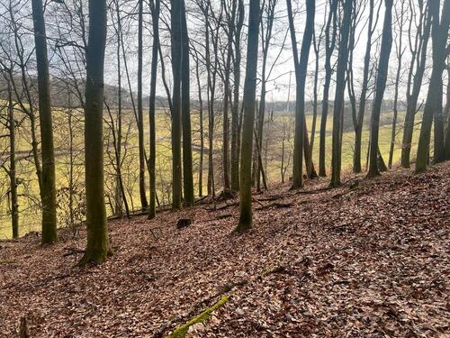 Foto - Grundst&uuml;ck in Lautertal (Odenwald) zur Miete