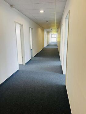 Foto - andere in Hamburg zur Miete