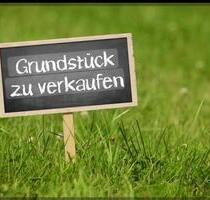 7ha Waldfläche + 3ha Wiesenfläche in Jesteburg - Schneverdingen