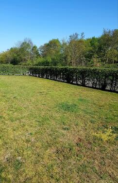 Foto - andere in Borkum zur Miete