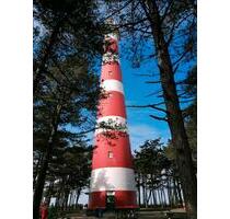 AMELAND FEWO MIT HUND . Ab 29.08.2025 frei - Lingen (Ems)